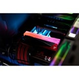 Kingston FURY 48 GB DDR5-8000 Kit - Limited Edition werkgeheugen Carbon/rood, KF580C36RLAK2-48, Renegade RGB, XMP