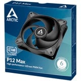 Arctic P12 Max case fan Zwart