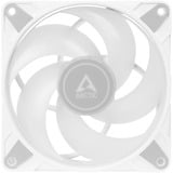 ARCTIC P12 PWM PST A-RGB case fan Wit, 1 stuk, 4-pins PWM fan-connector