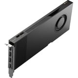 NVIDIA® RTX 4000 Ada 20 GB grafische kaart 4x DisplayPort, Bulk