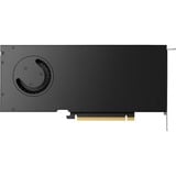 NVIDIA® RTX 4000 Ada 20 GB grafische kaart 4x DisplayPort, Bulk