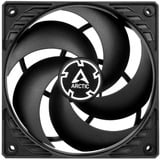 ARCTIC P12 Silent case fan Zwart