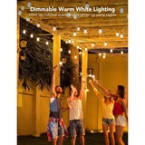 Govee RGBIC Smart Outdoor String Lights verlichting 15 meter, 2,4GHz wifi, Bluetooth