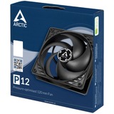 ARCTIC P12 120x120x25 case fan Zwart