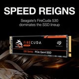 Seagate FireCuda 530 2 TB SSD ZP2000GM3A013, PCIe 4.0 x4, NVMe 1.4, M.2 2280