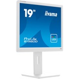 iiyama Prolite B1980D-W5 19" monitor Wit, VGA, DVI