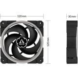 ARCTIC BioniX P120 A-RGB case fan Zwart