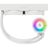 Arctic Liquid Freezer III 240 A-RGB waterkoeling Wit, 4-pins PWM