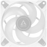 ARCTIC P14 PWM PST A-RGB case fan Wit, 4-pin PWM