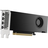 NVIDIA® RTX 2000 Ada 16 GB grafische kaart 4x Mini DisplayPort