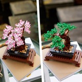 LEGO Botanical Collection - Bonsaiboompje Constructiespeelgoed 10281