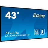 ProLite LH4360UHS-B1AG 43" 4K Ultra HD Public Display