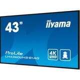 iiyama ProLite LH4360UHS-B1AG 43" 4K Ultra HD Public Display Zwart (mat), HDMI, WiFi, USB, Audio, Android 