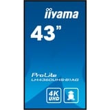 iiyama ProLite LH4360UHS-B1AG 43" 4K Ultra HD Public Display Zwart (mat), HDMI, WiFi, USB, Audio, Android 