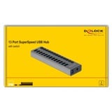 DeLOCK Externe SuperSpeed USB-hub met 13 poorten 