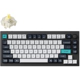 Keychron Q1 Max-M4 QMK, toetsenbord Zwart, BE Lay-out, Gateron Jupiter Banana, RGB leds, 75%, Hot-swappable, Bluetooth, 2.4GHz