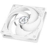 ARCTIC P12 PWM PST case fan Wit, 4-pin PWM aansluiting