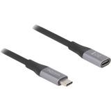 DeLOCK USB-C (male) > USB-C (female) verlengkabel Zwart/zilver, 1 meter