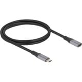 DeLOCK USB-C (male) > USB-C (female) verlengkabel Zwart/zilver, 1 meter