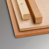 Bosch Expert for Wood cirkelzaagblad voor accuzagen 305x2,2/1,6x30 T42