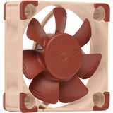 Noctua NF-A4x10 PWM case fan 