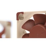 Noctua NF-A4x10 PWM case fan 